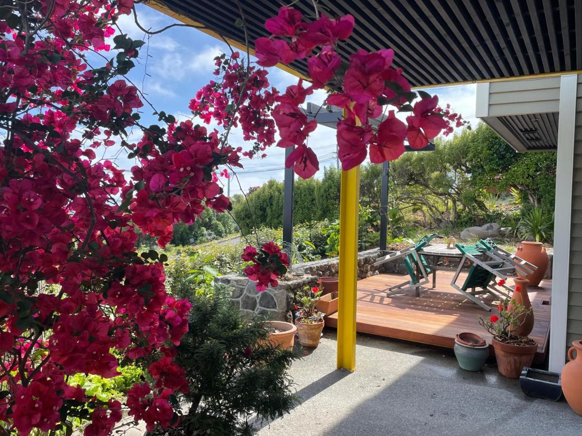 Under The Yellow Canopy Christchurch Extérieur photo